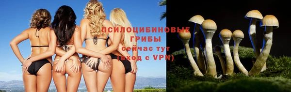 дживик Снежинск