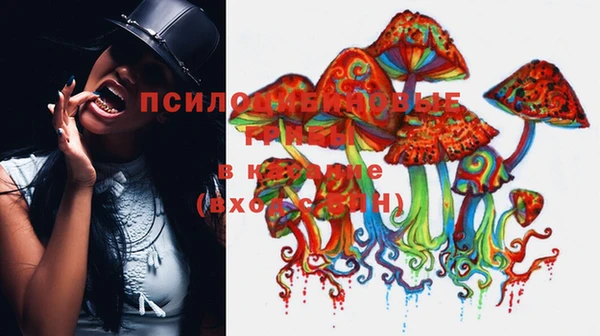 MESCALINE Железногорск-Илимский