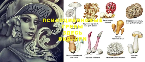 мескалин Снежногорск